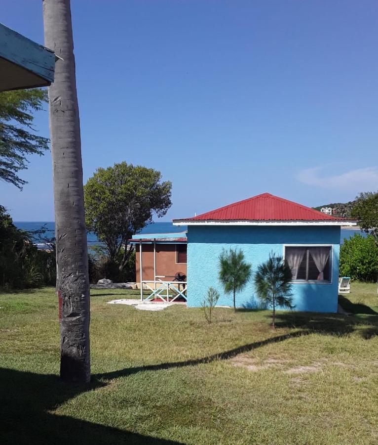 Waikiki Guest House Treasure Beach Exterior photo